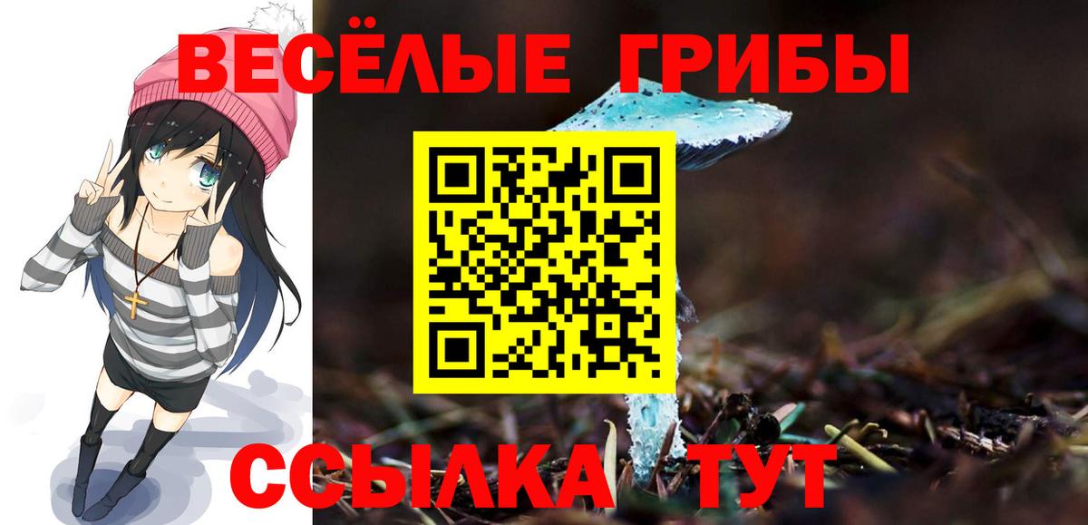 Псилоцибиновые грибы Magic Shrooms Чистополь
