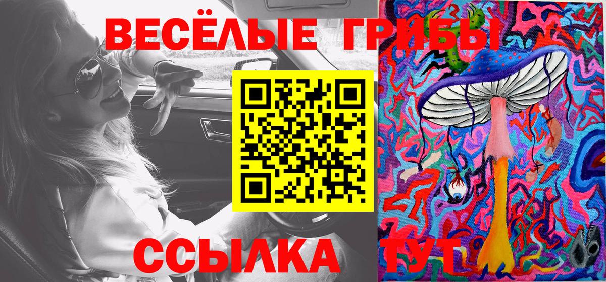 Псилоцибиновые грибы ЛСД  Галлюциногенные грибы ЛСД  Вход с VPN  Чистополь 
